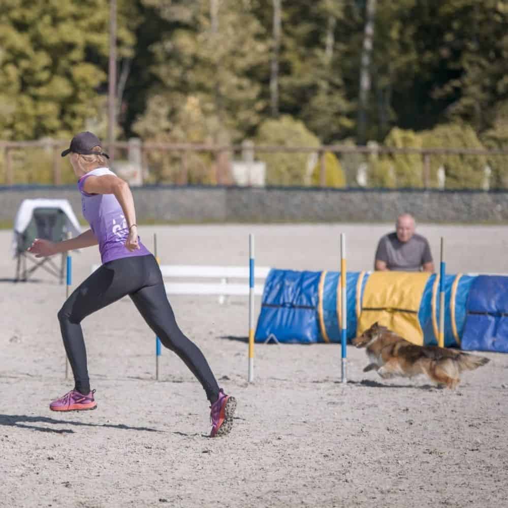 Legíny na agility